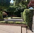 Se Vende Casa Esquinero Con Frente Campestre