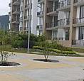 Arriendo Apartamento Condominio Amarillo Ocarro
