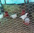 Vendo Finca En Zapatoca