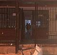 Se Arrienda Casa,Barrio La Serrania