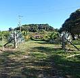 Vendo Finca Tauramena