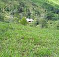 Venta De Finca