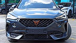 Cupra Formentor Metalizado 2023