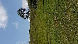 Venta  De  Finca
