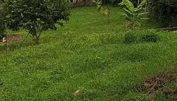 Casa Lote En Arbelaez