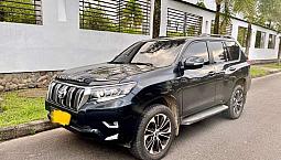 Prado Tx 2013 Cara Nueva