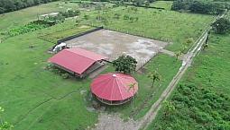 Ganga. Se Vende Finca De 5 Hectáreas En Villavicencio.