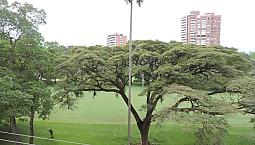 Vendo Apto Estudio Campestre Towers Cali
