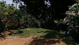 Finca Agricola En Mariquita Tolima