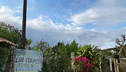 Venta De Finca: ( Vereda El Jordan) Municipio De Dagua