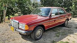 Mercedez 230 Permuto