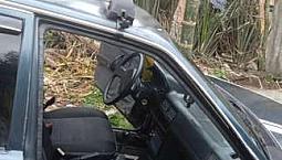 Gangazo Se Vende Mazda 323