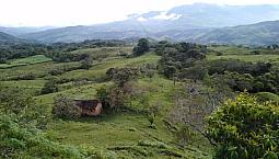 Finca En Venta