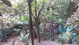 !!Ganga!! Se Vende Casa Lote