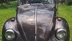 Hermoso Vw  Escarabajo 1961