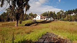 Vendo Finca En Iza Boyaca