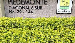 Arriendo Apartamento