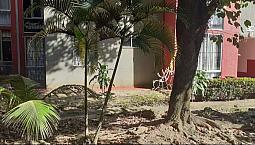 Lindo Apartamento En Un Primer  Piso Con 2 Habitaciones