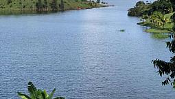 Fincas Para Alquilar Por Dias En Guatape