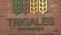 Alquiler Apartamento Trigales