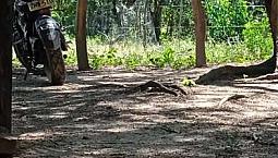 Se Vende Un Lote En Chimichagua De 16x37 De Fondo