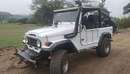 Vendo Toyota Fj40, Motor 4.0