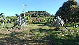 Vendo Finca Tauramena