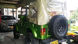 Vendo Jeep Willys Carpado