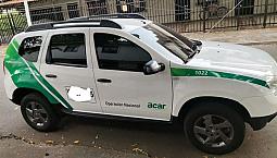 Renault Duster Placa Blanca