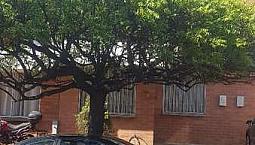 S E Vende Casa Conjunto Cerrado