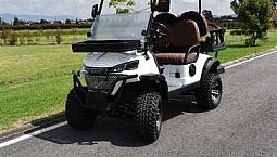 Carrito De Golf Mavic Cart