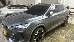 Cupra Formentor 2.0 Tsi Mate Dsg