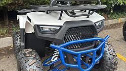 Cuatrimotos Boss 125Cc Nueva