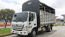 Foton Aumark 3.8 Fqr 2022
