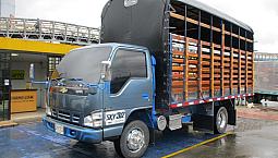 Camion Chevrolet Npr - Estacas