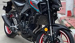 Mt03